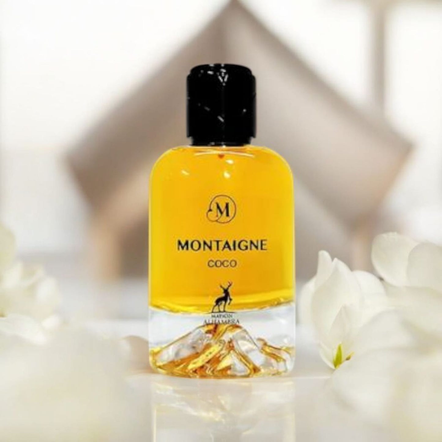 Montaigne Coco • Maison Alhambra