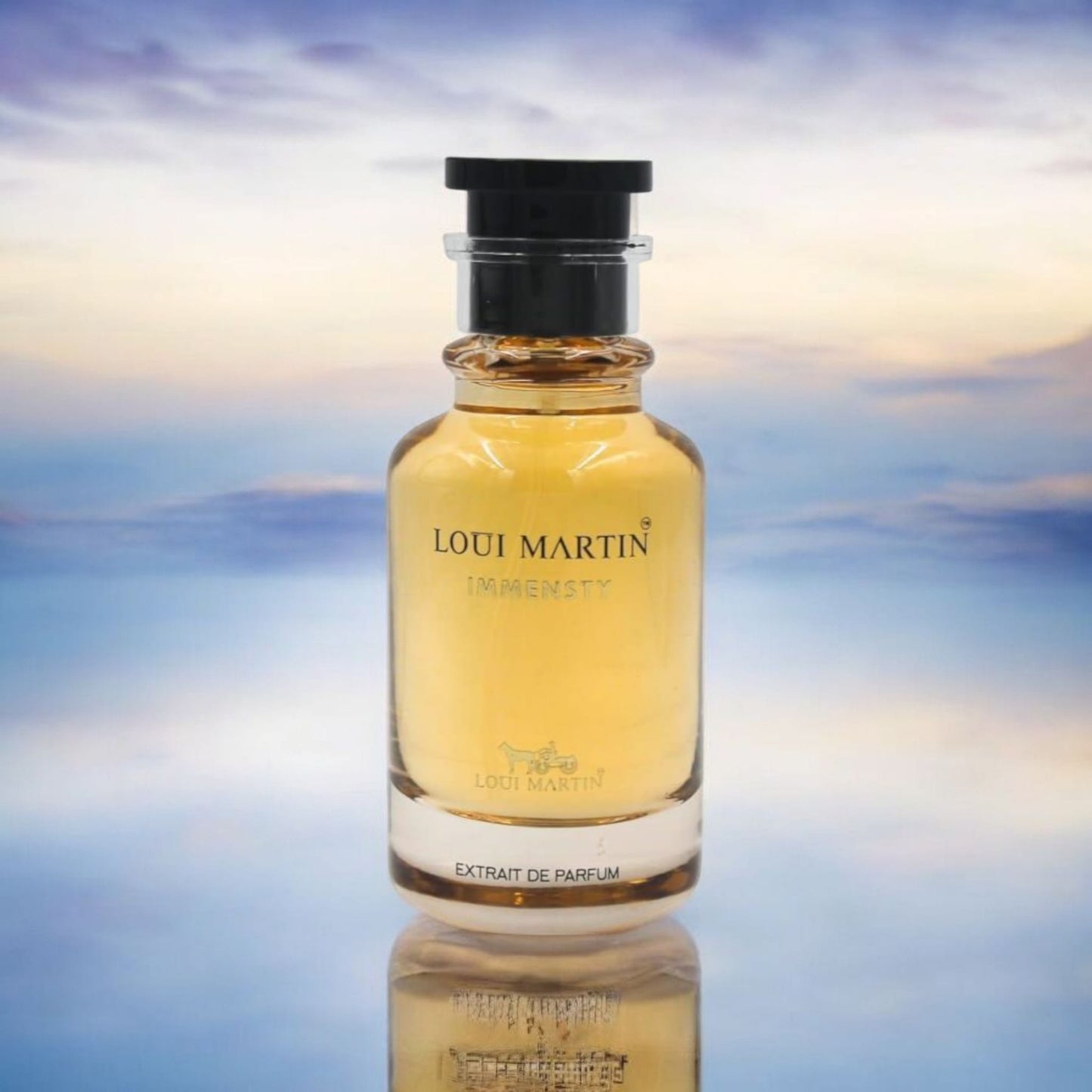 Immensty • Loui Martin (𝐼𝑛𝑠𝑝𝑖𝑟𝑎𝑡𝑖𝑜𝑛 𝐼𝑚𝑚𝑒𝑛𝑠𝑖𝑡é)